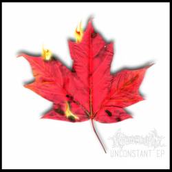 Consumption (USA-2) : Dissipate